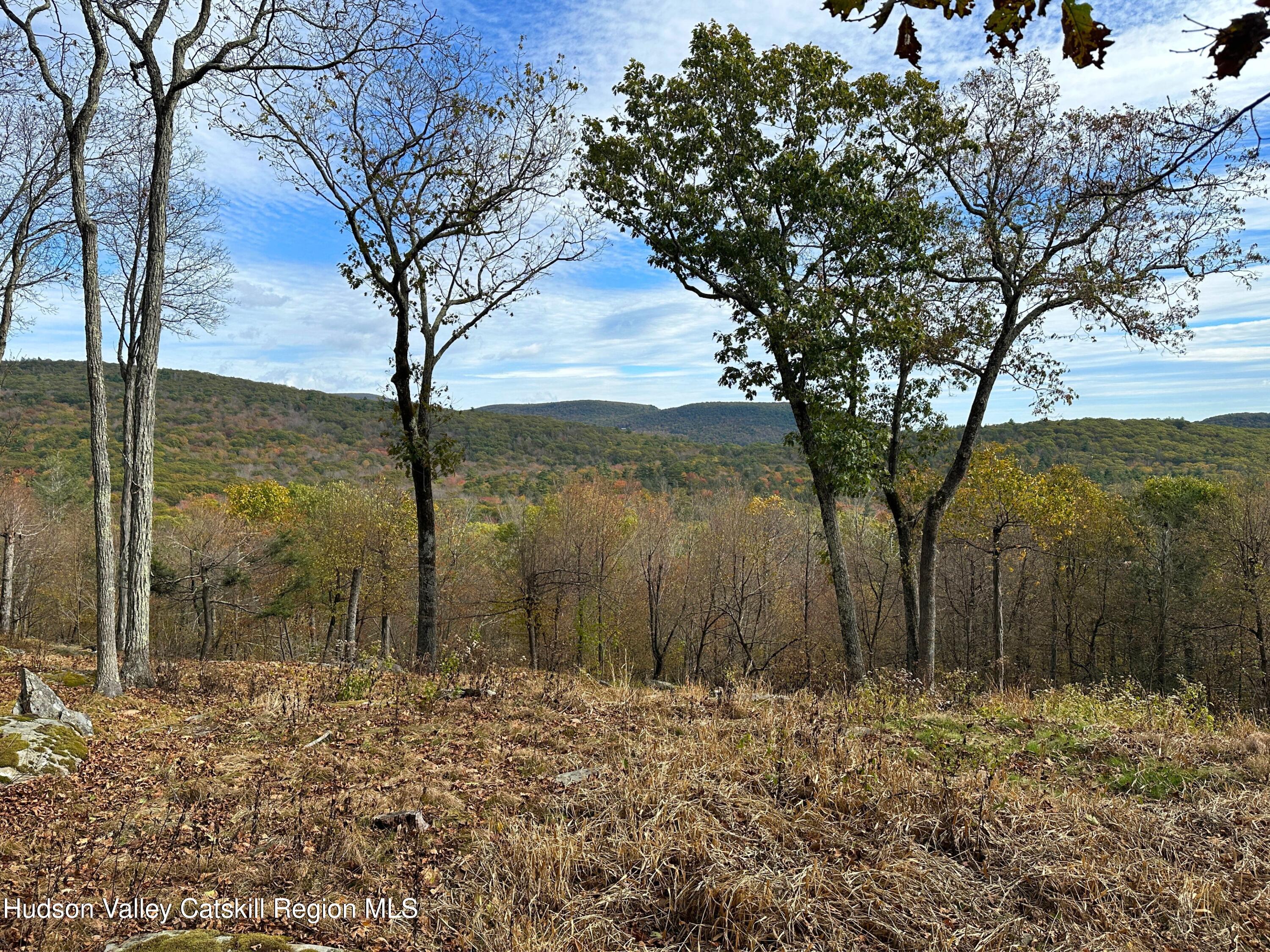 132 Valley View Way Willow, NY 12495 - Photo 18 of 34 a backyard of a house with lots of green space