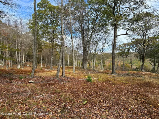 a view of a yard with plants and trees