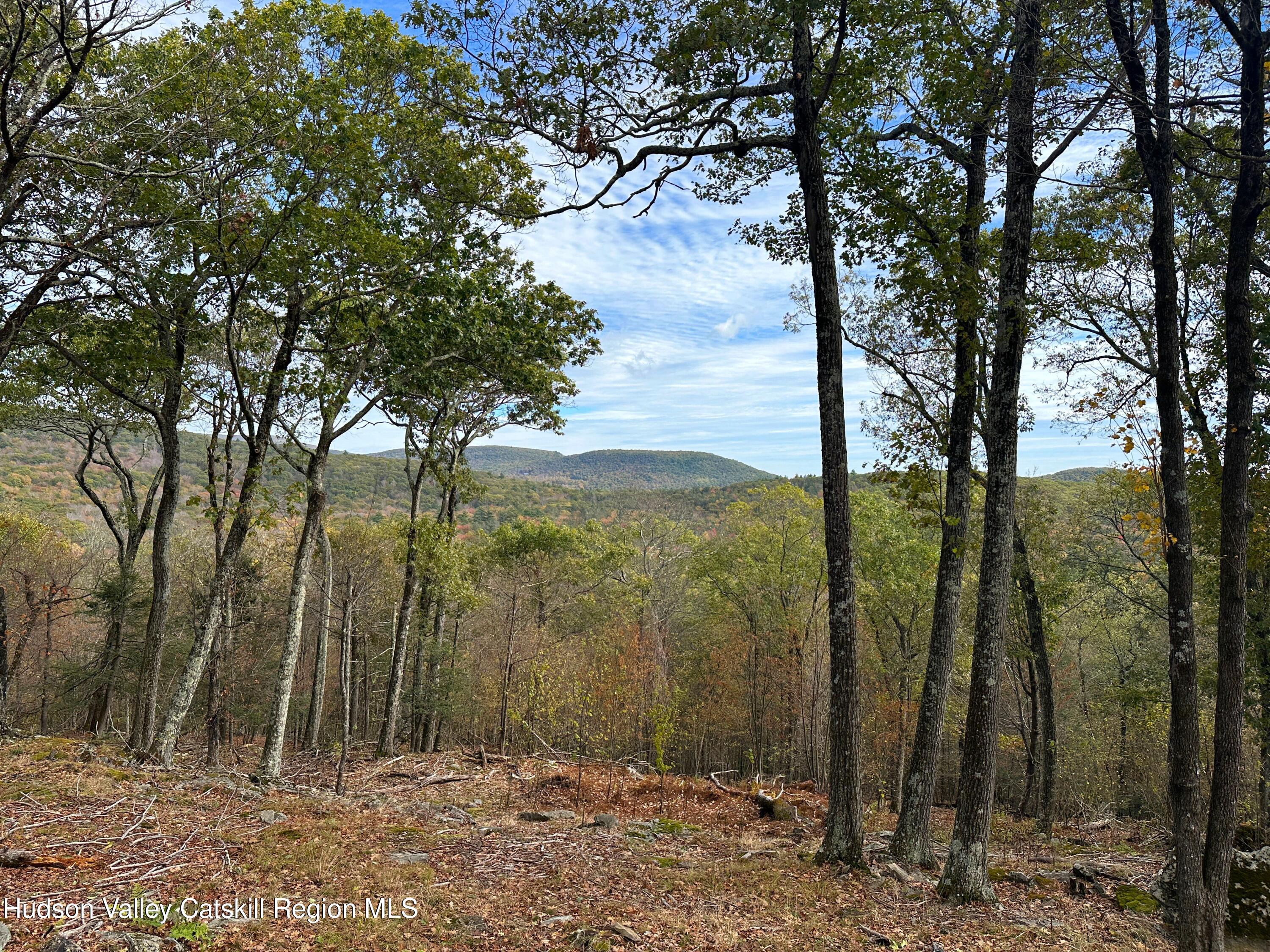 132 Valley View Way Willow, NY 12495 - Photo 20 of 34 a view of a forest
