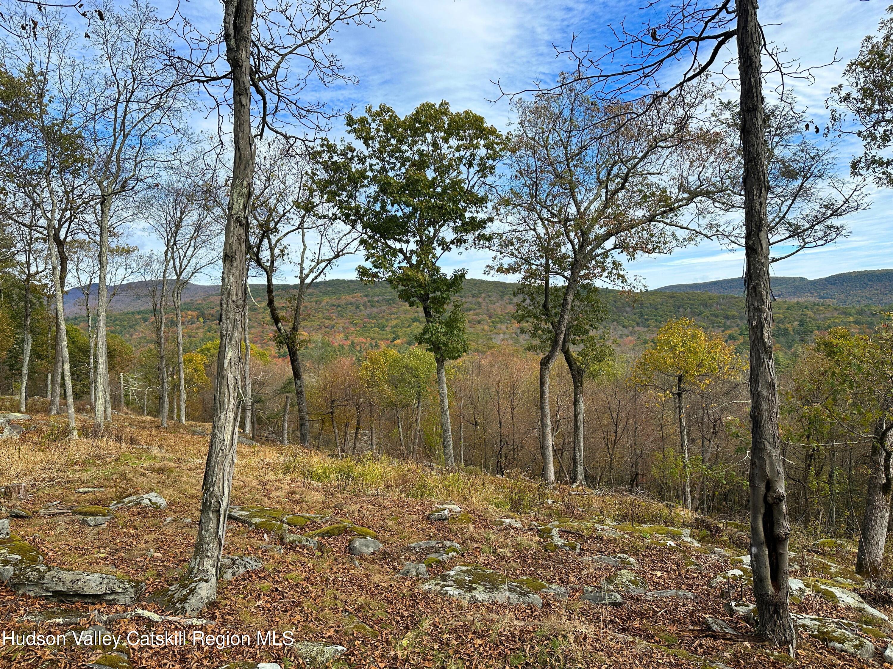 132 Valley View Way Willow, NY 12495 - Photo 2 of 34 a backyard of a house with lots of green space