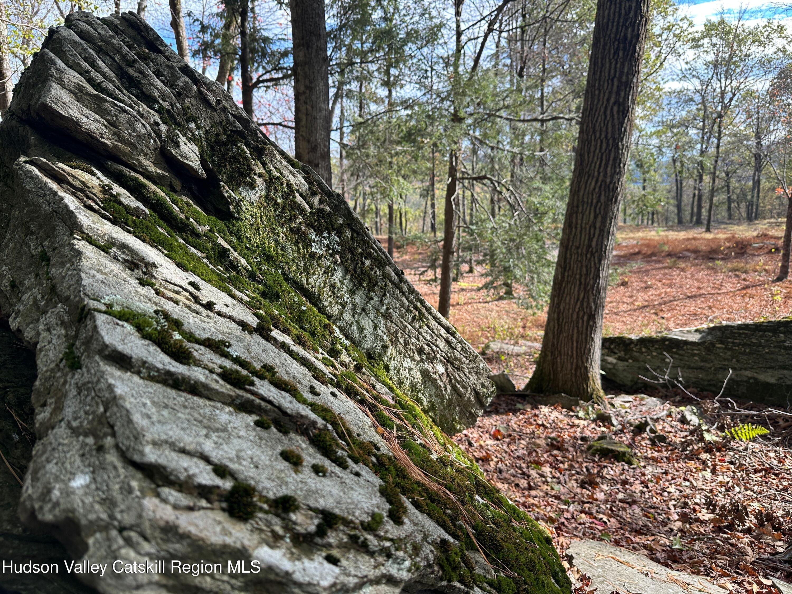 132 Valley View Way Willow, NY 12495 - Photo 21 of 34 a view of a yard with plants and trees