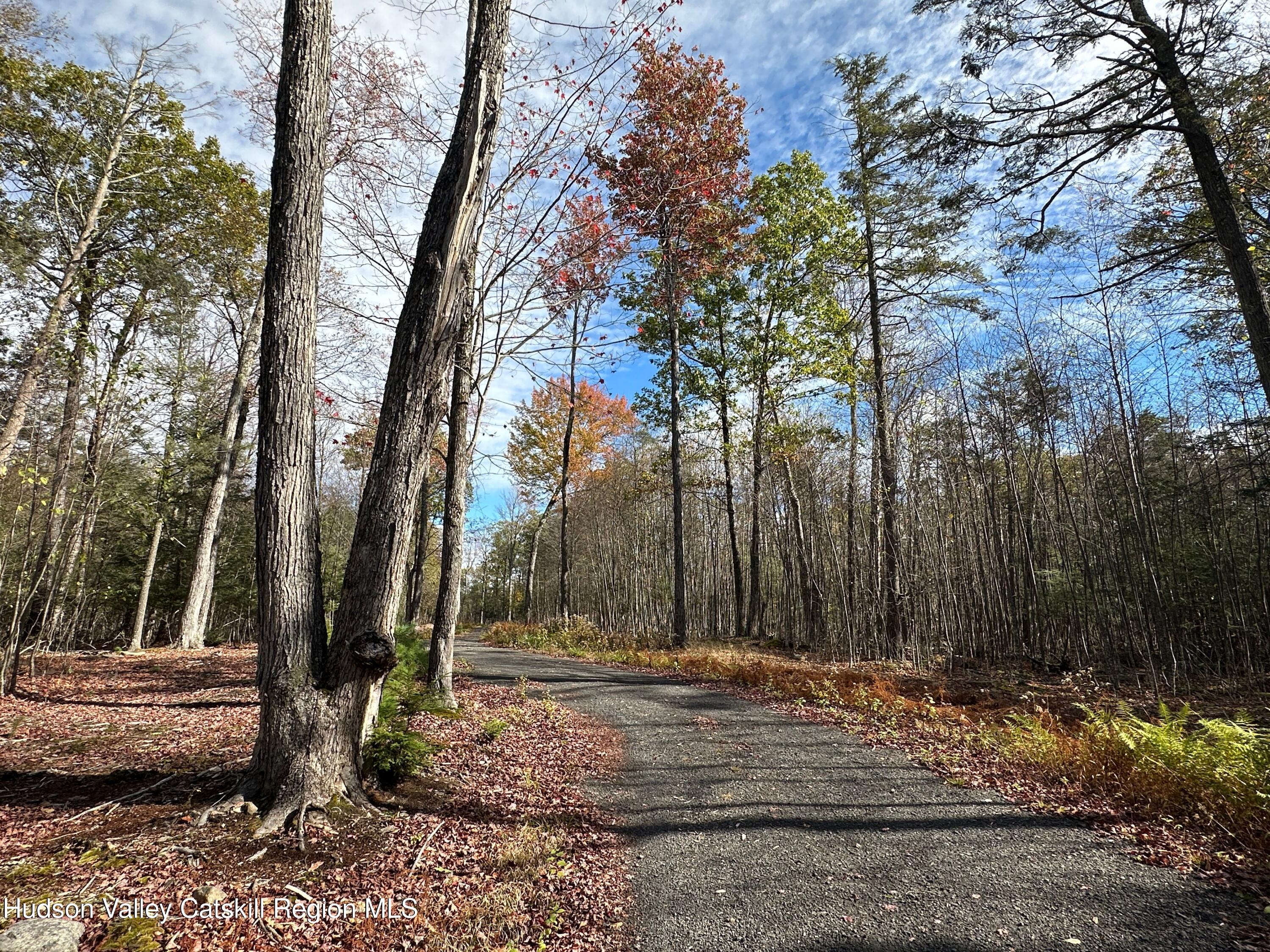 132 Valley View Way Willow, NY 12495 - Photo 22 of 34 a view of a backyard of the house