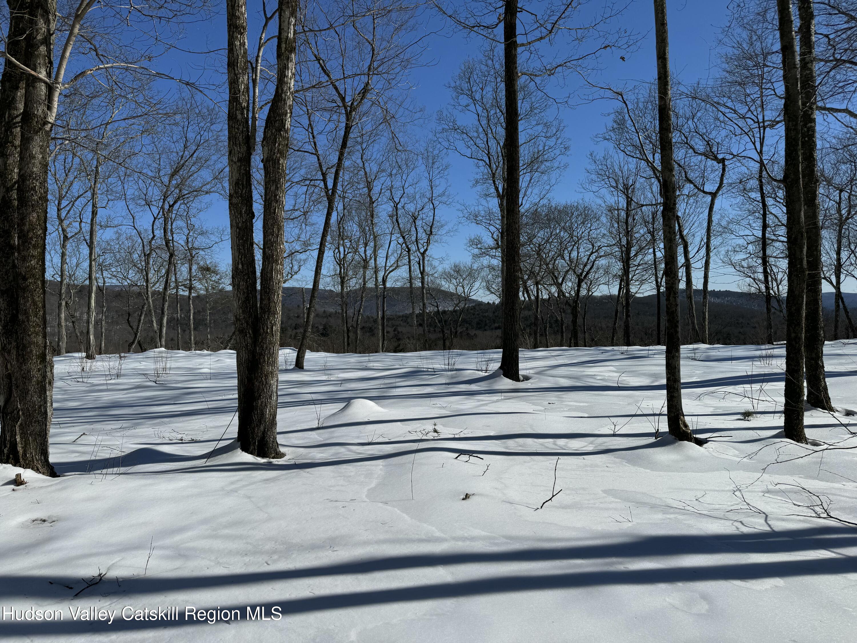 132 Valley View Way Willow, NY 12495 - Photo 23 of 34 a view of park