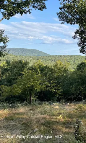 a view of a backyard of the house