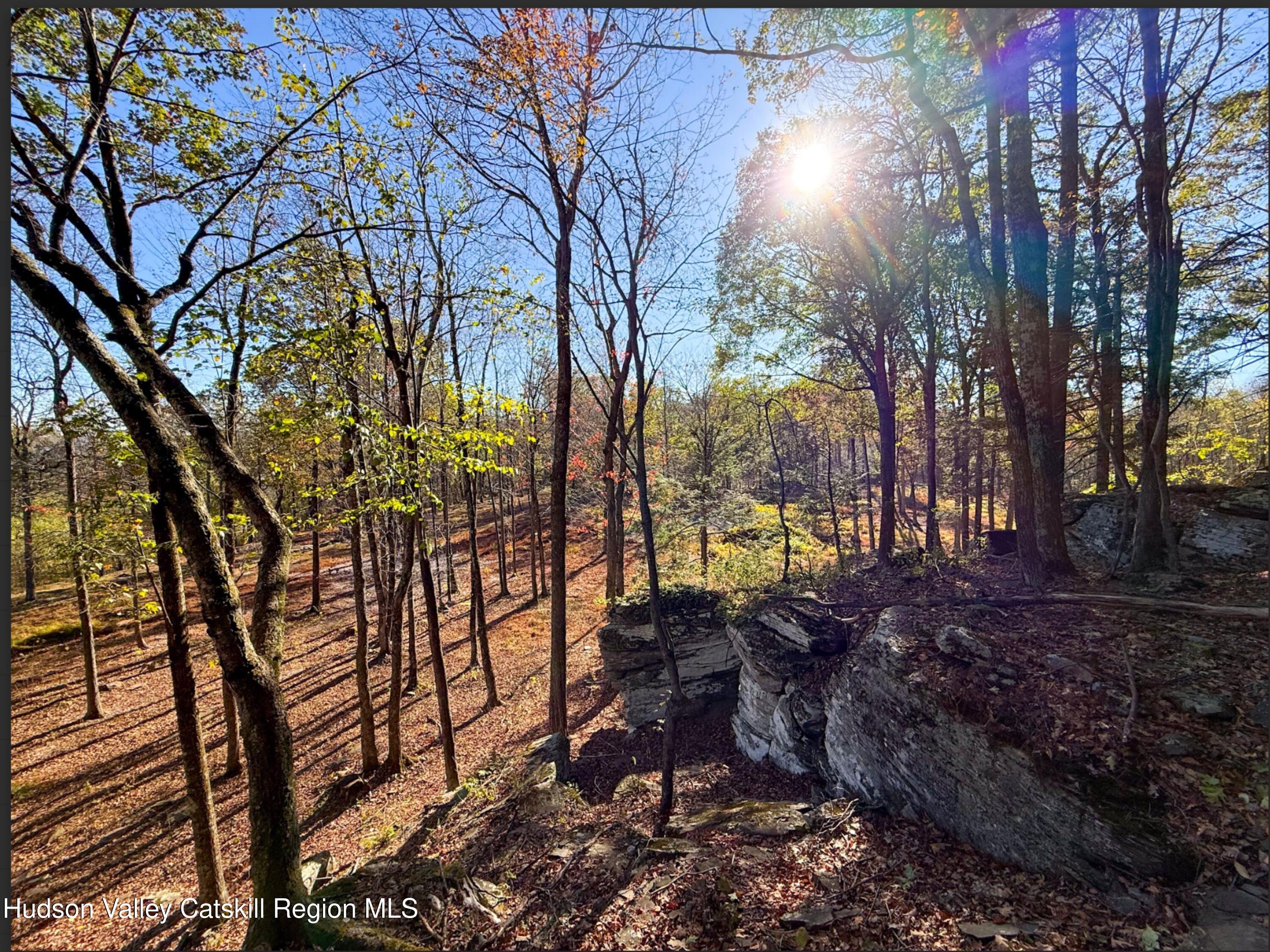 132 Valley View Way Willow, NY 12495 - Photo 28 of 34 a view of a forest filled with trees