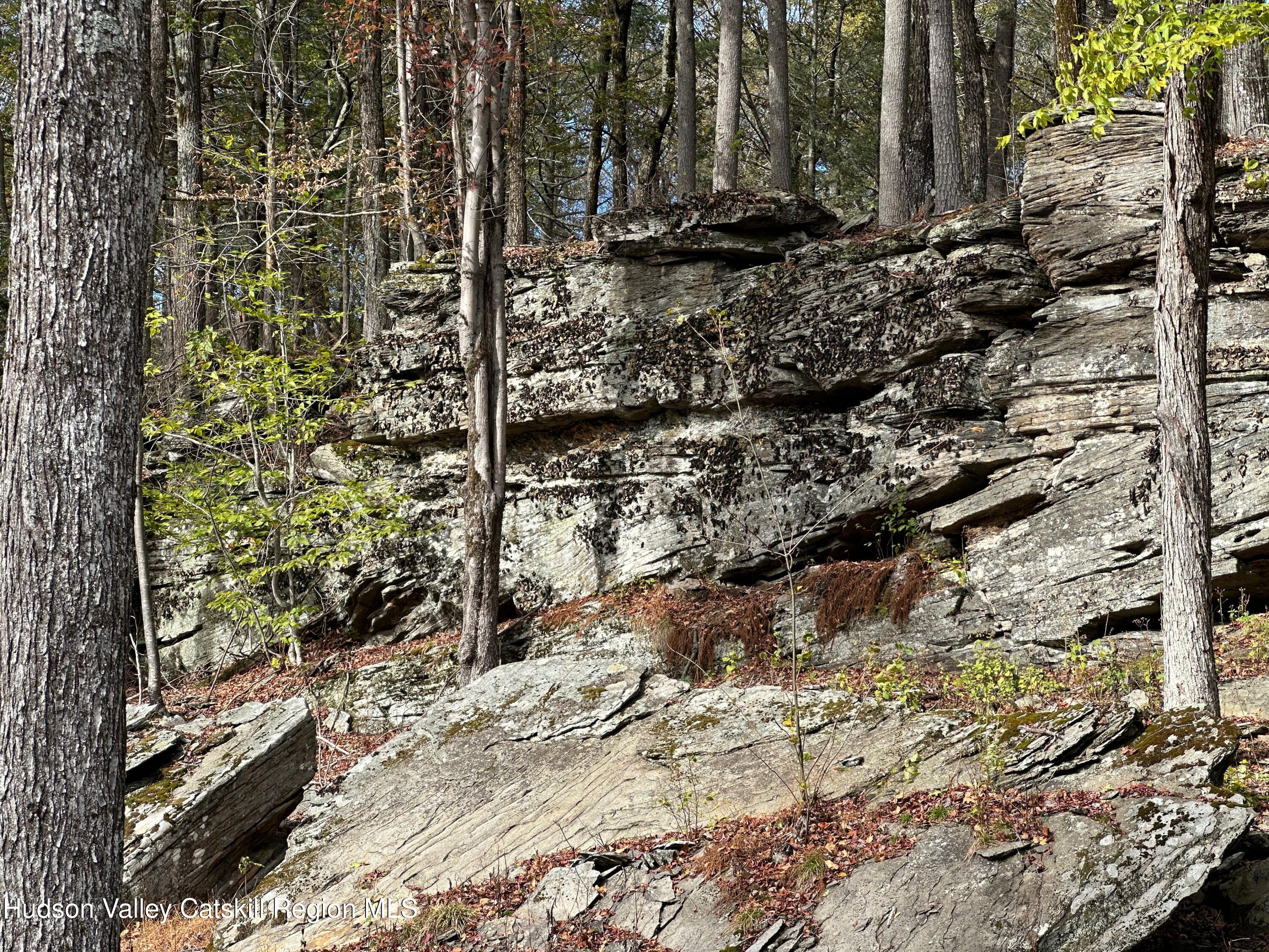 132 Valley View Way Willow, NY 12495 - Photo 29 of 34 a view of a backyard of the house