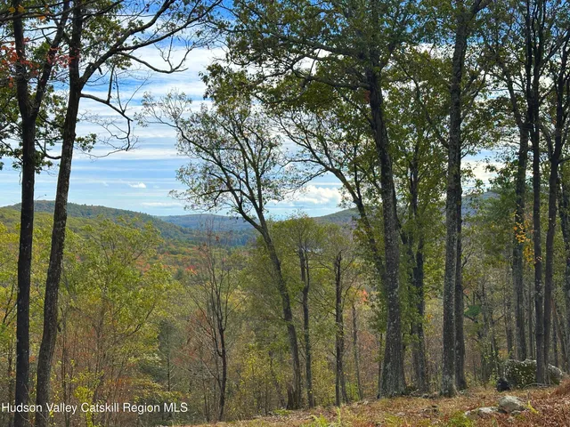 a view of backyard with green space