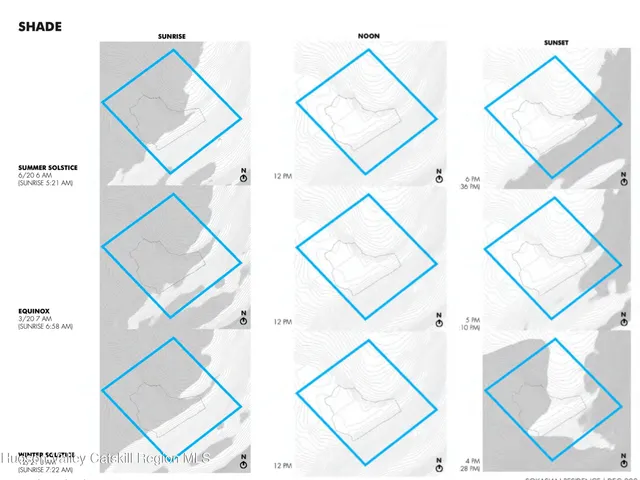 a view of a large tree