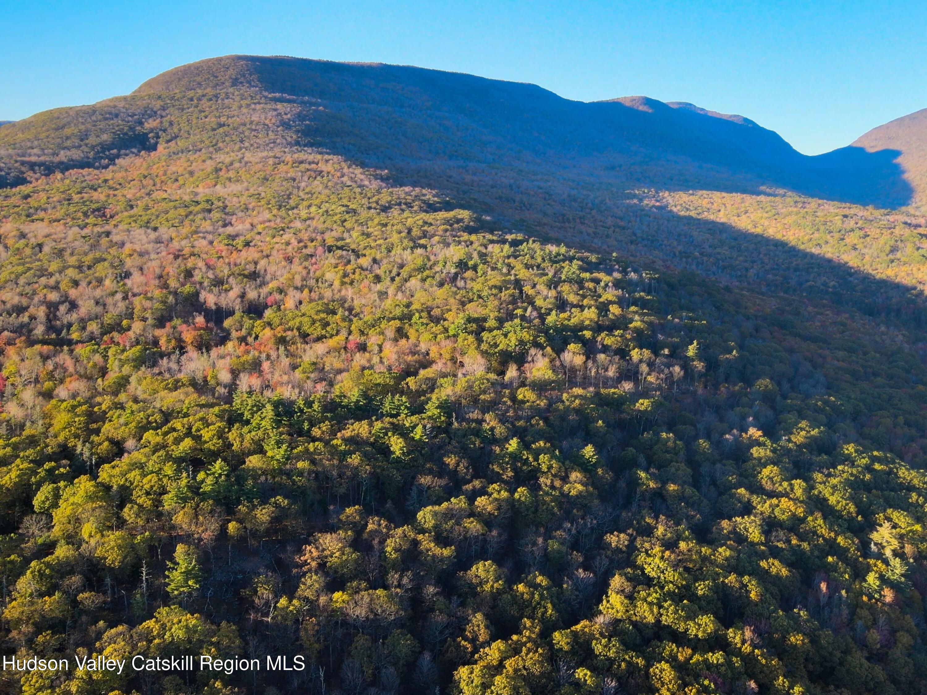 132 Valley View Way Willow, NY 12495 - Photo 34 of 34 a view of a large tree