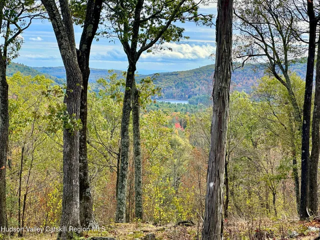 a view of a yard with an trees
