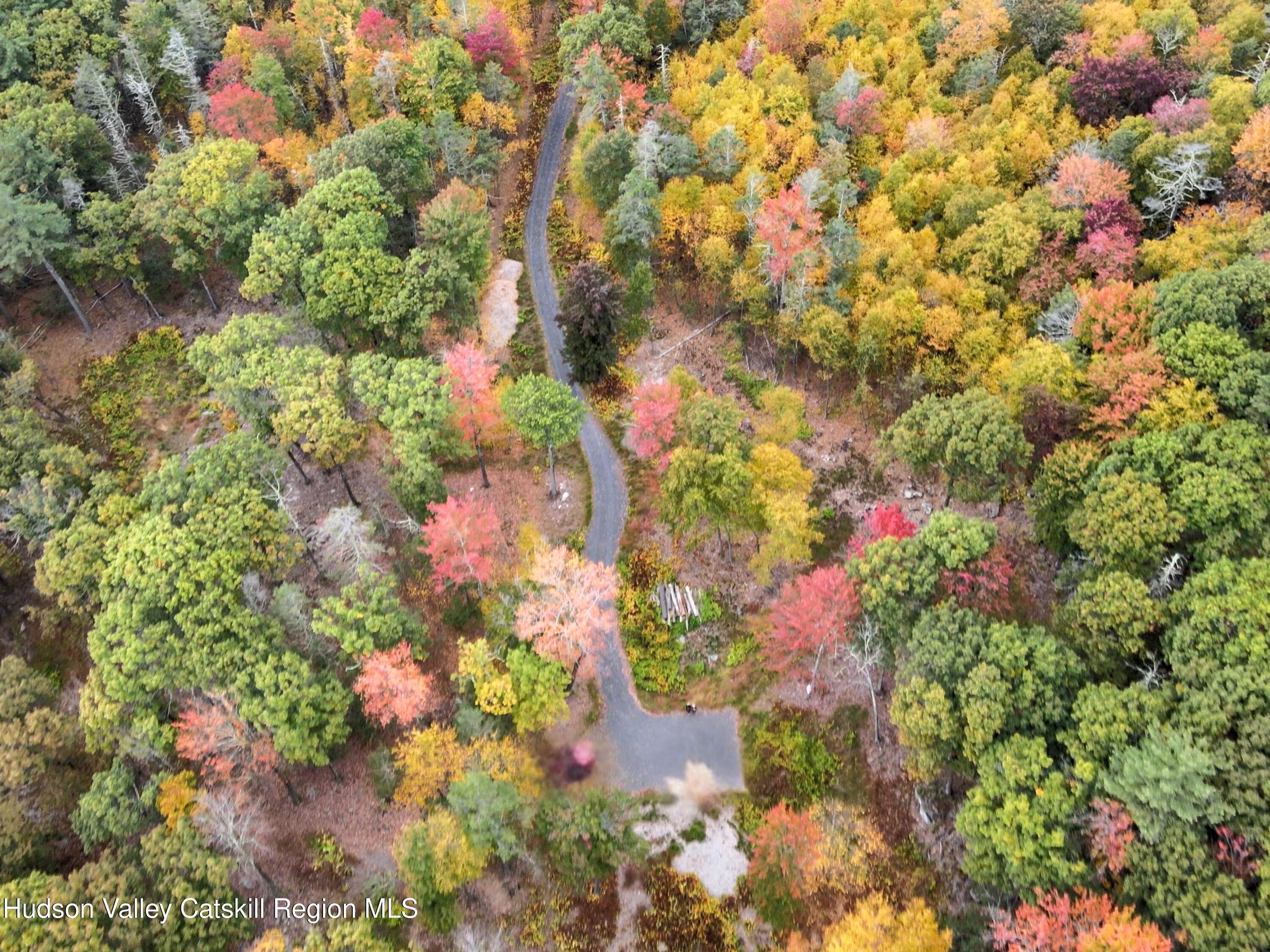 132 Valley View Way Willow, NY 12495 - Photo 5 of 34 a picture of flowers