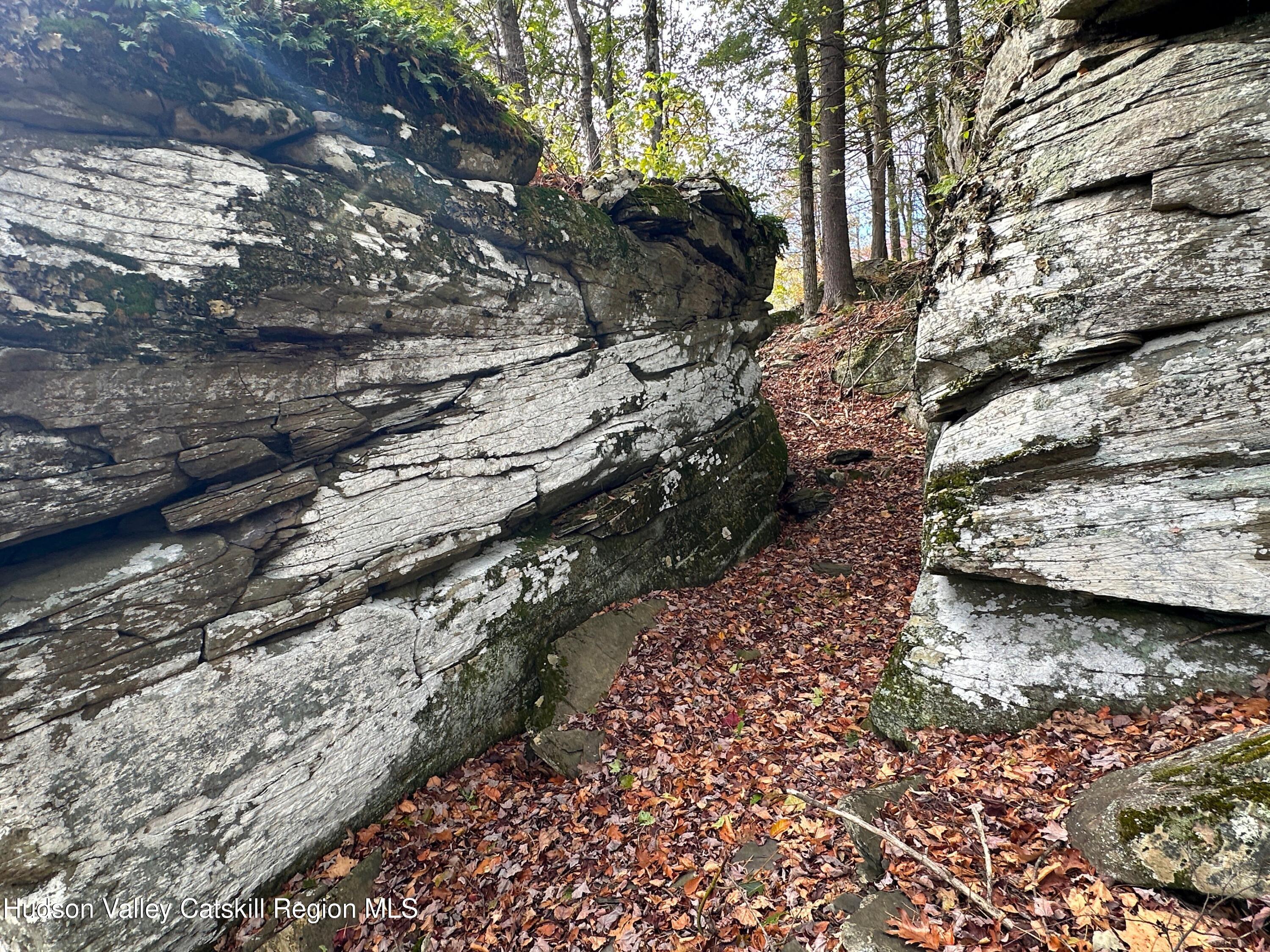 132 Valley View Way Willow, NY 12495 - Photo 7 of 34 a view of a yard with trees