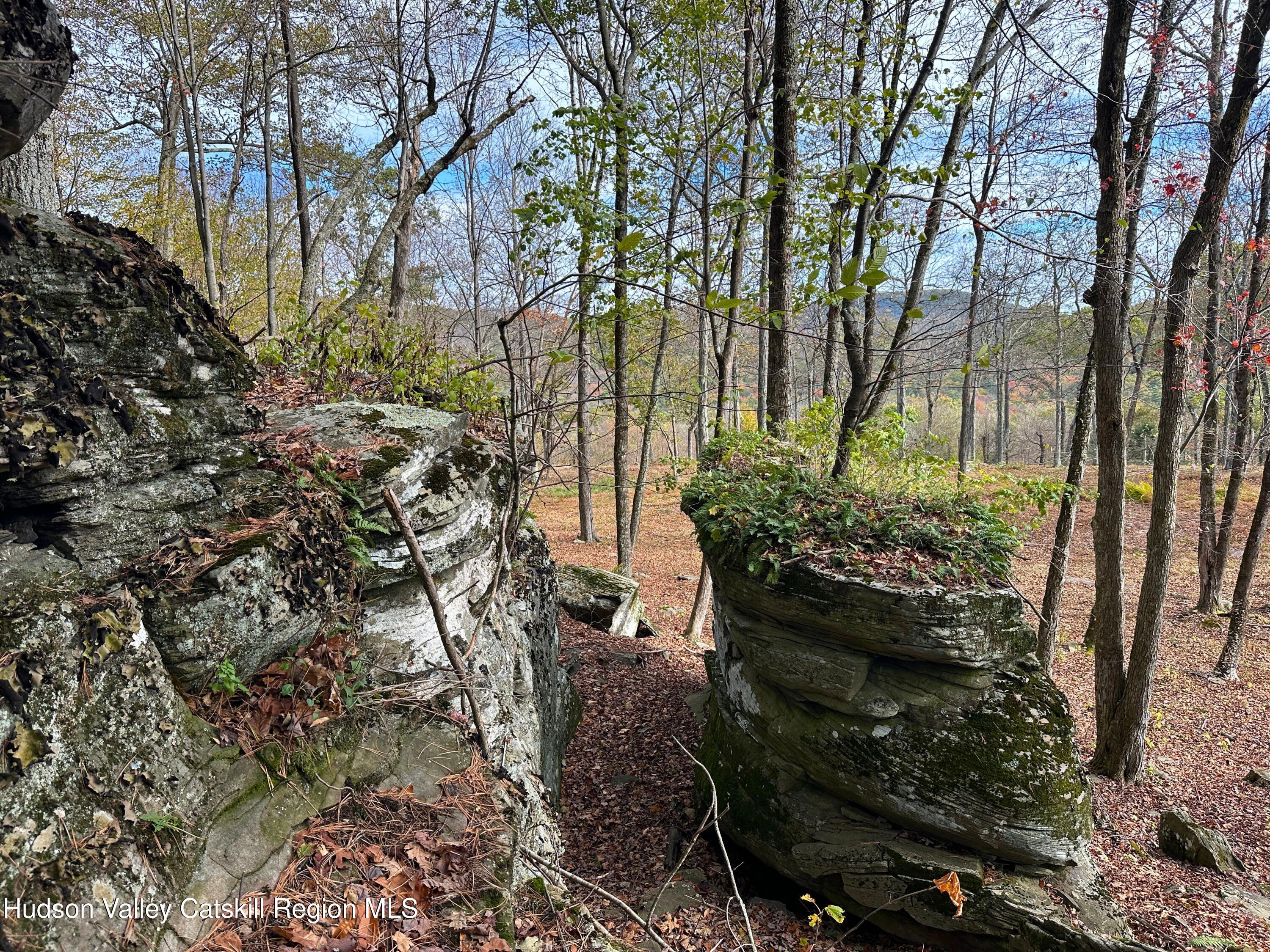 132 Valley View Way Willow, NY 12495 - Photo 8 of 34 a backyard of a house with lots of green space