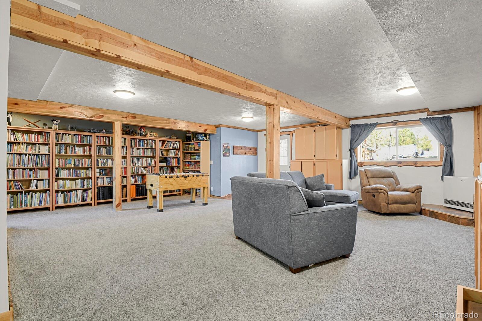 881 Trail Creek Road Lake George, CO 80827 - Photo 26 of 46