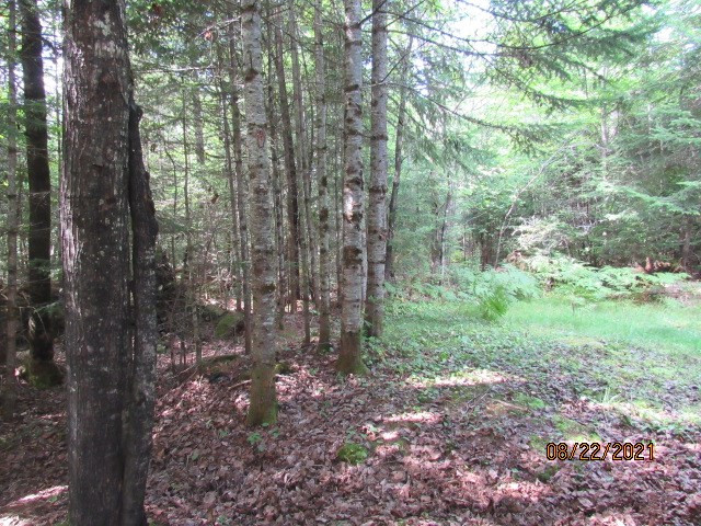 19 Camp Road Owls Head, NY 12969 - Photo 12 of 17 Gallery Image 12