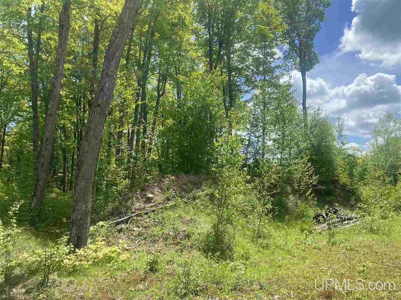 Tbd West Tamarack Lake Road, Unit 17 Iron River, MI 49935 - Photo 40 of 45