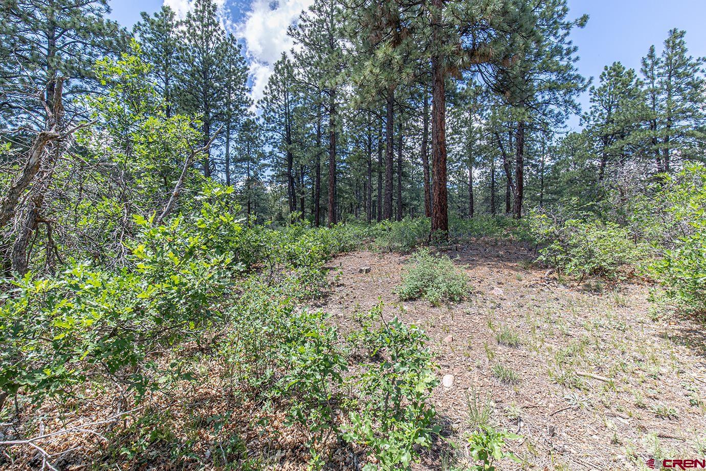 151 Westridge Road Durango, CO 81303 - Photo 27 of 32 Gallery Image 27