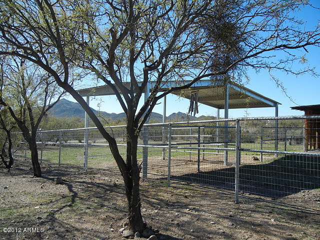 47421 North New River Road New River, AZ 85087 - Photo 15 of 23 a view of a yard with a tree