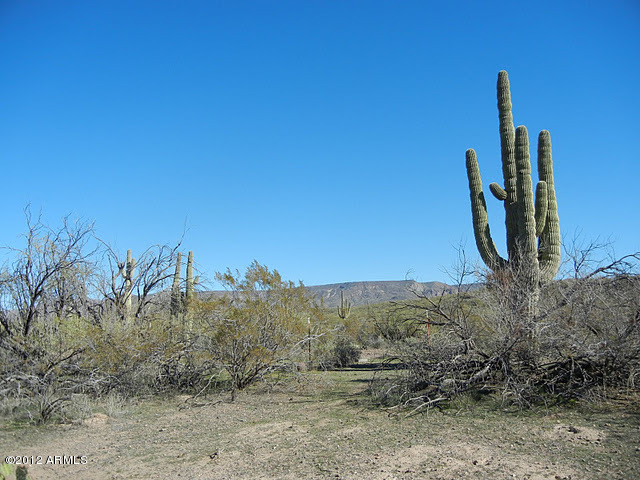 47421 North New River Road New River, AZ 85087 - Photo 23 of 23 a view of a dry yard with trees