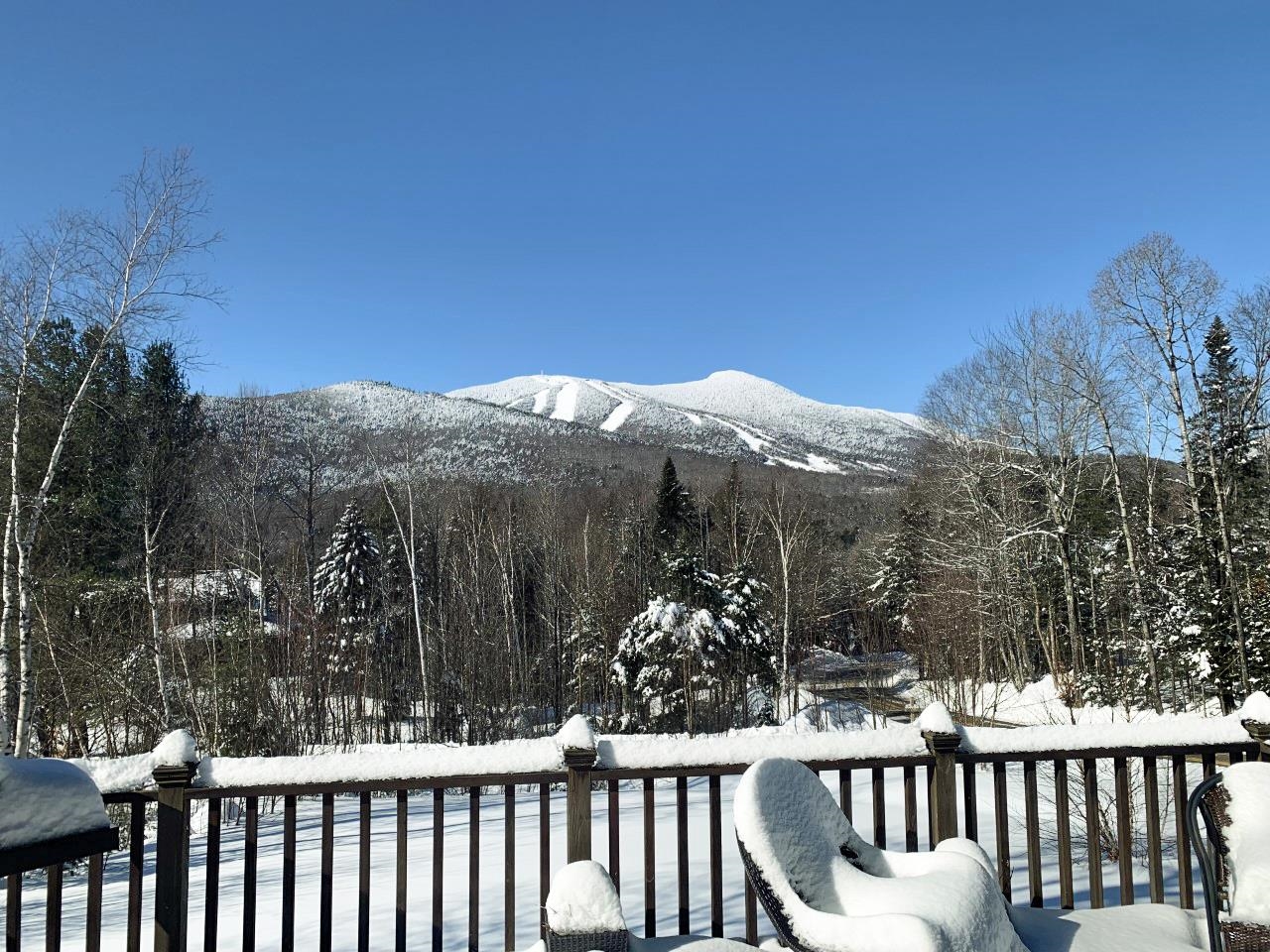 36 Snow's Mountain Road Waterville Valley, NH 03215 - Photo 29 of 31