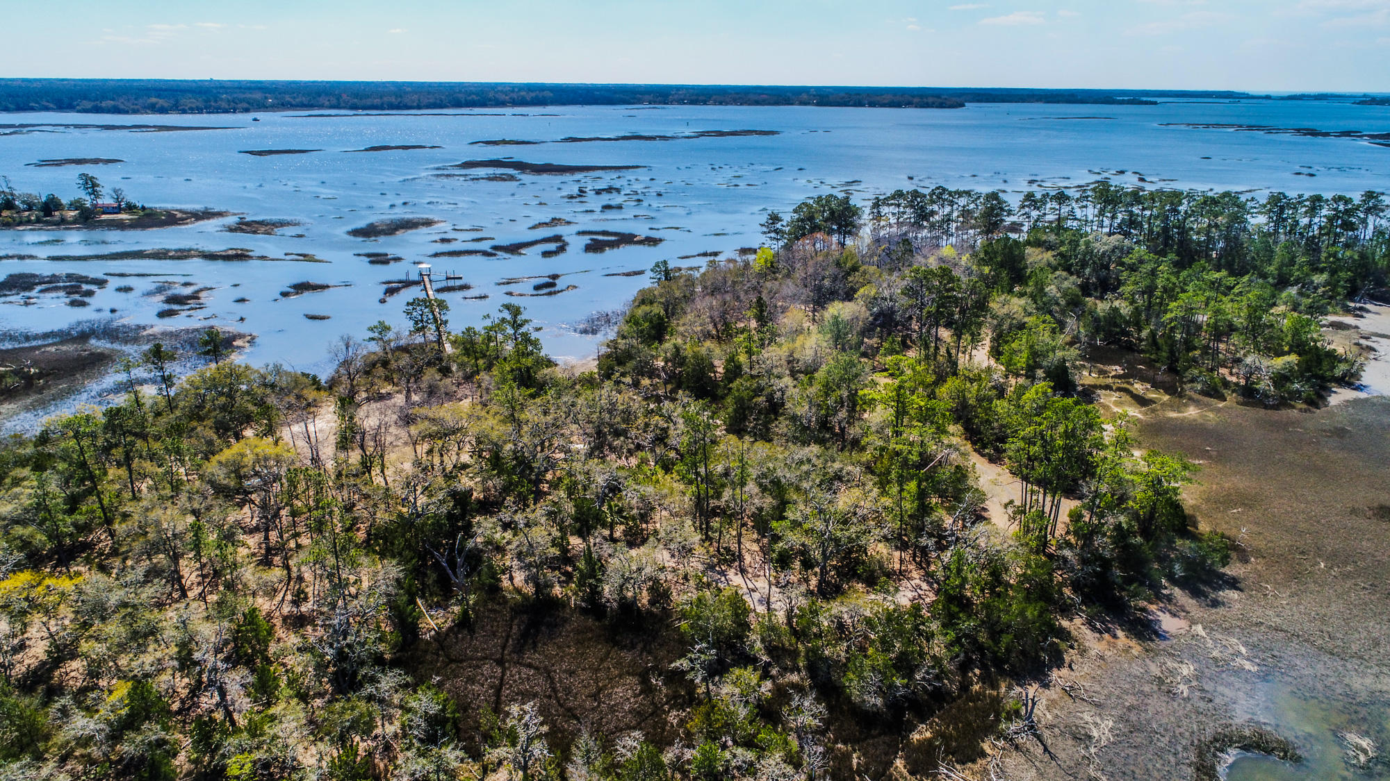 0 Denning Point Meggett, SC 29449 - Photo 11 of 30 4615DenningPoint-5