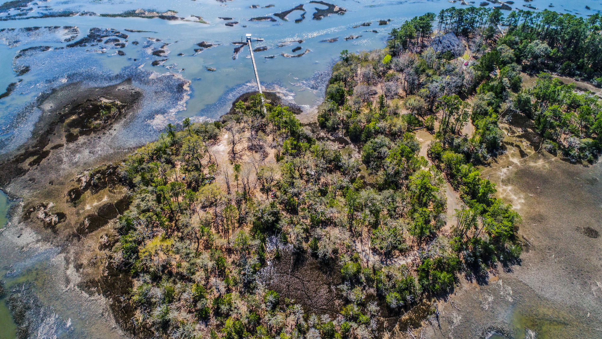0 Denning Point Meggett, SC 29449 - Photo 19 of 30 4615DenningPoint-13