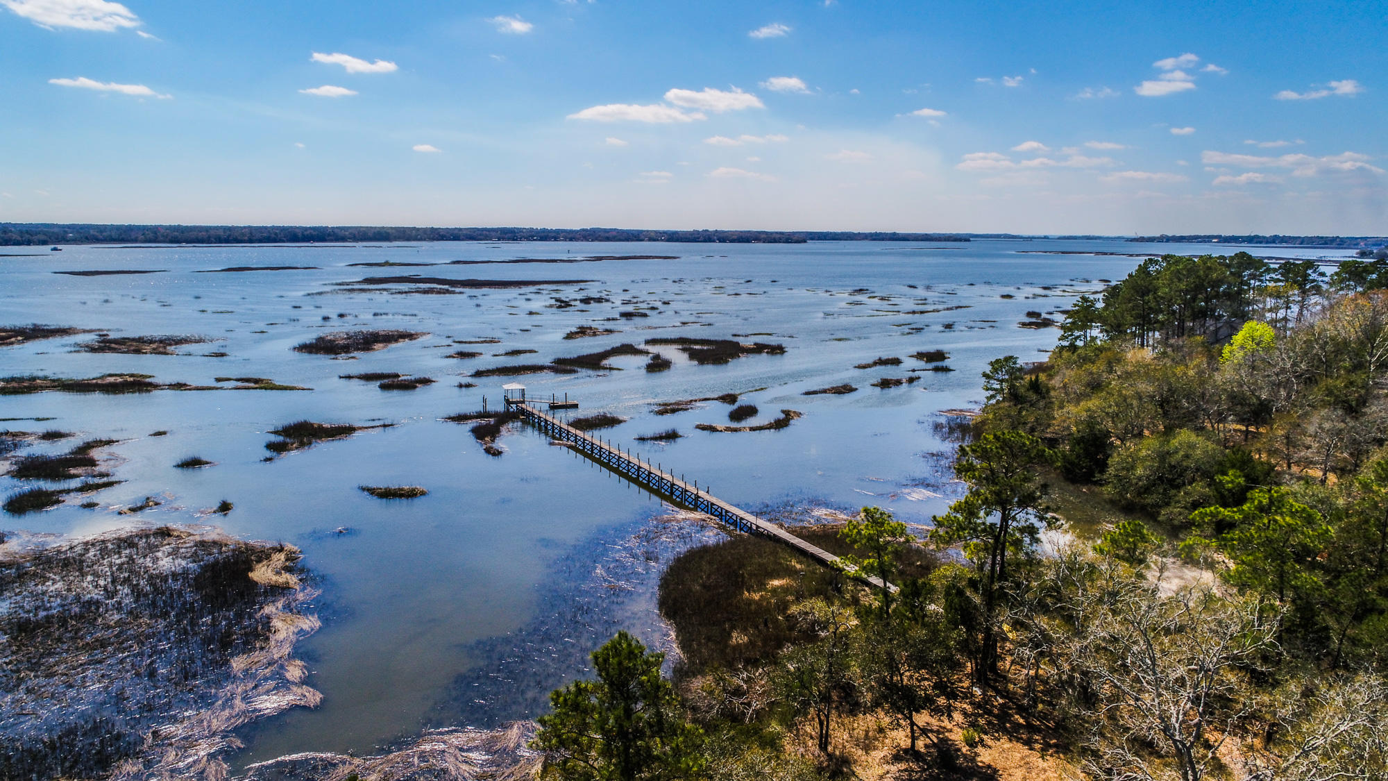 0 Denning Point Meggett, SC 29449 - Photo 21 of 30 4615DenningPoint-15