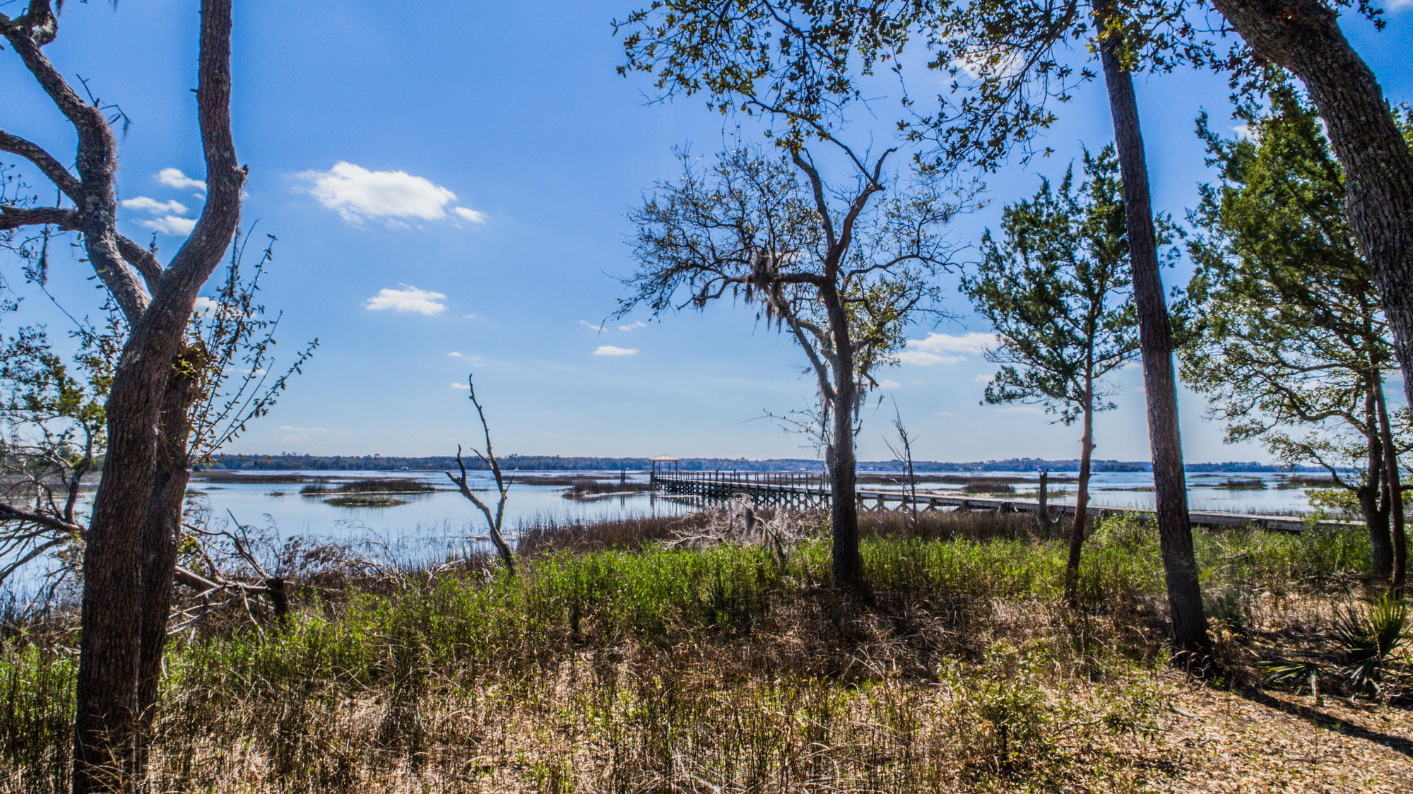 0 Denning Point Meggett, SC 29449 - Photo 24 of 30 4615DenningPoint-18
