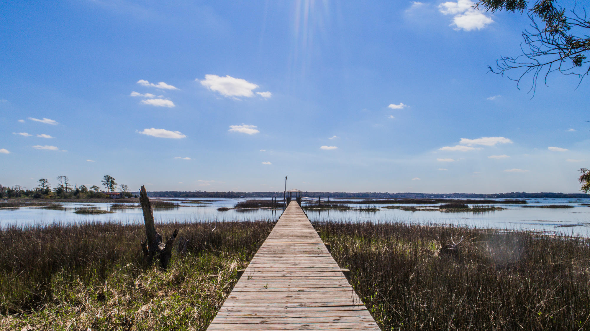 0 Denning Point Meggett, SC 29449 - Photo 25 of 30 4615DenningPoint-19