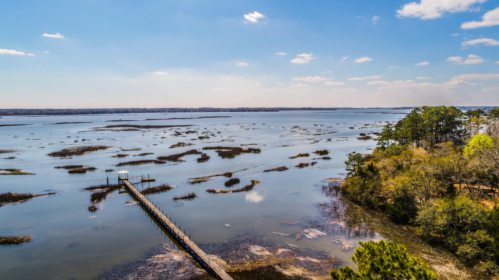0 Denning Point Meggett, SC 29449 - Photo 29 of 30 4615DenningPoint-25