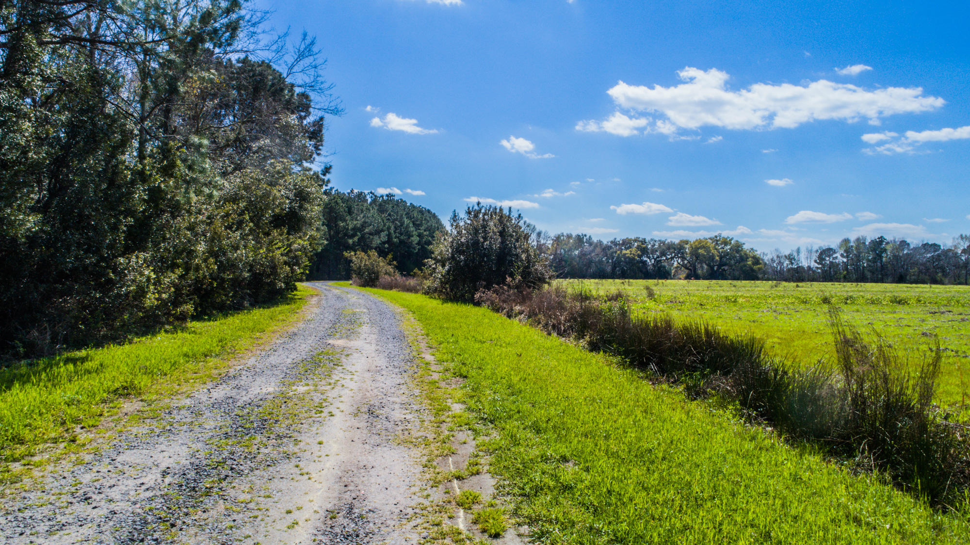 0 Denning Point Meggett, SC 29449 - Photo 5 of 30 4615DenningPoint-26