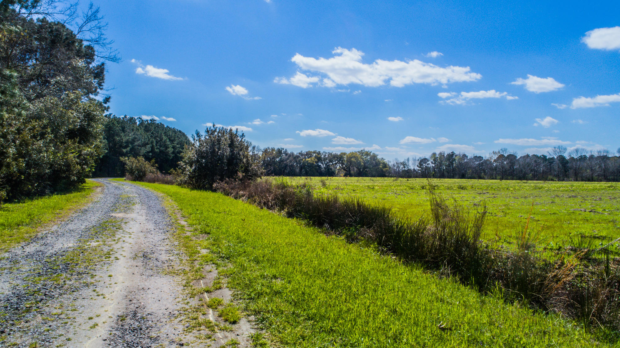 0 Denning Point Meggett, SC 29449 - Photo 6 of 30 4615DenningPoint-27