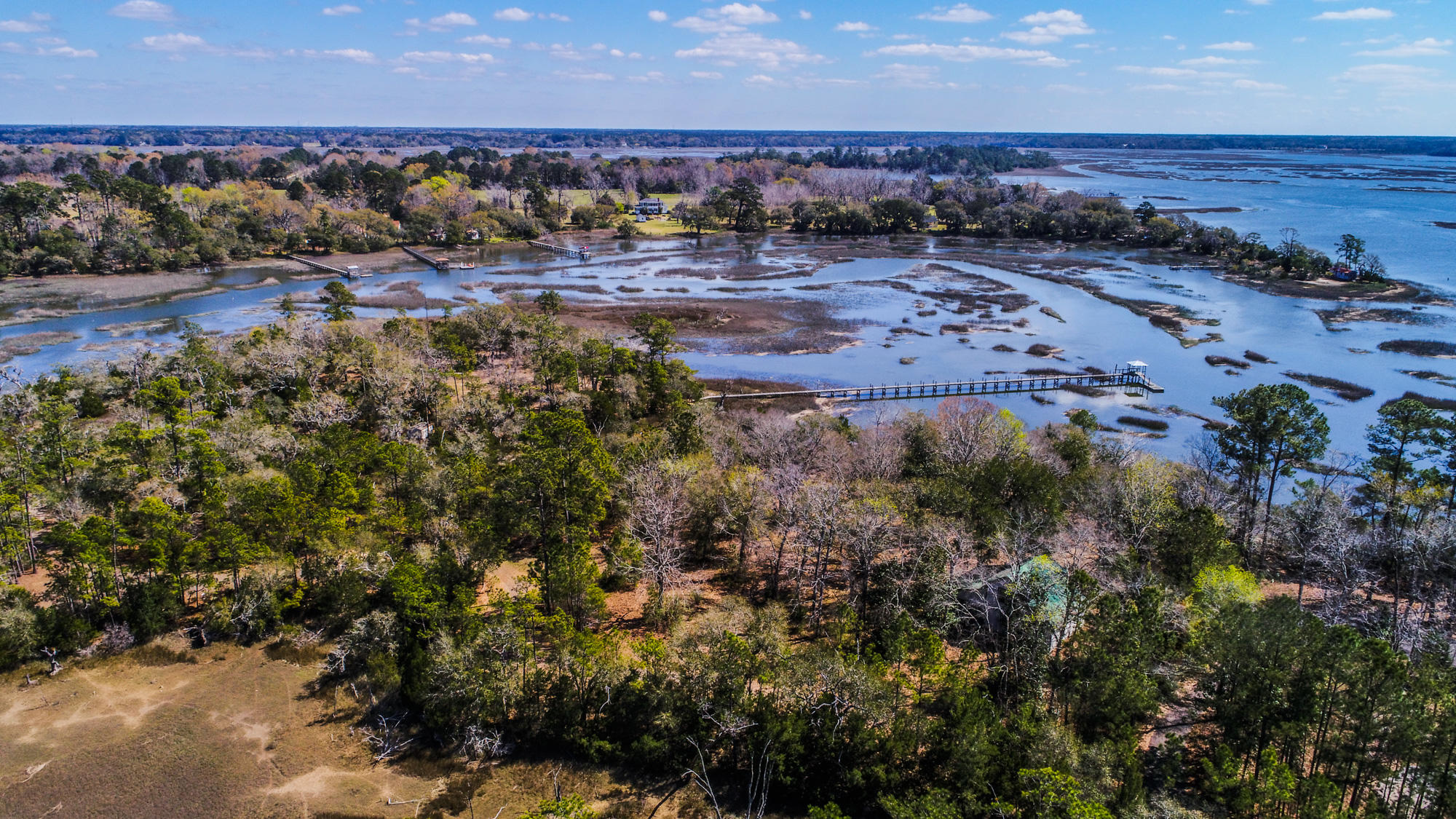 0 Denning Point Meggett, SC 29449 - Photo 9 of 30 4615DenningPoint-3