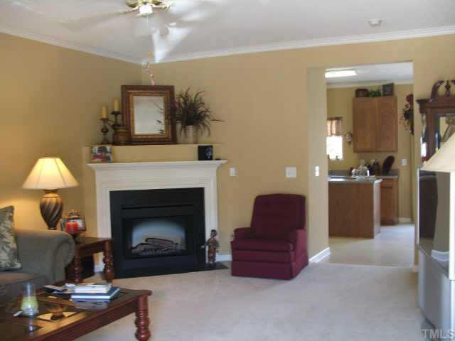 423 Alero Road Raleigh, NC 27610 - Photo 3 of 10 Large corner fireplace makes the living room so cozy and inviting! Other