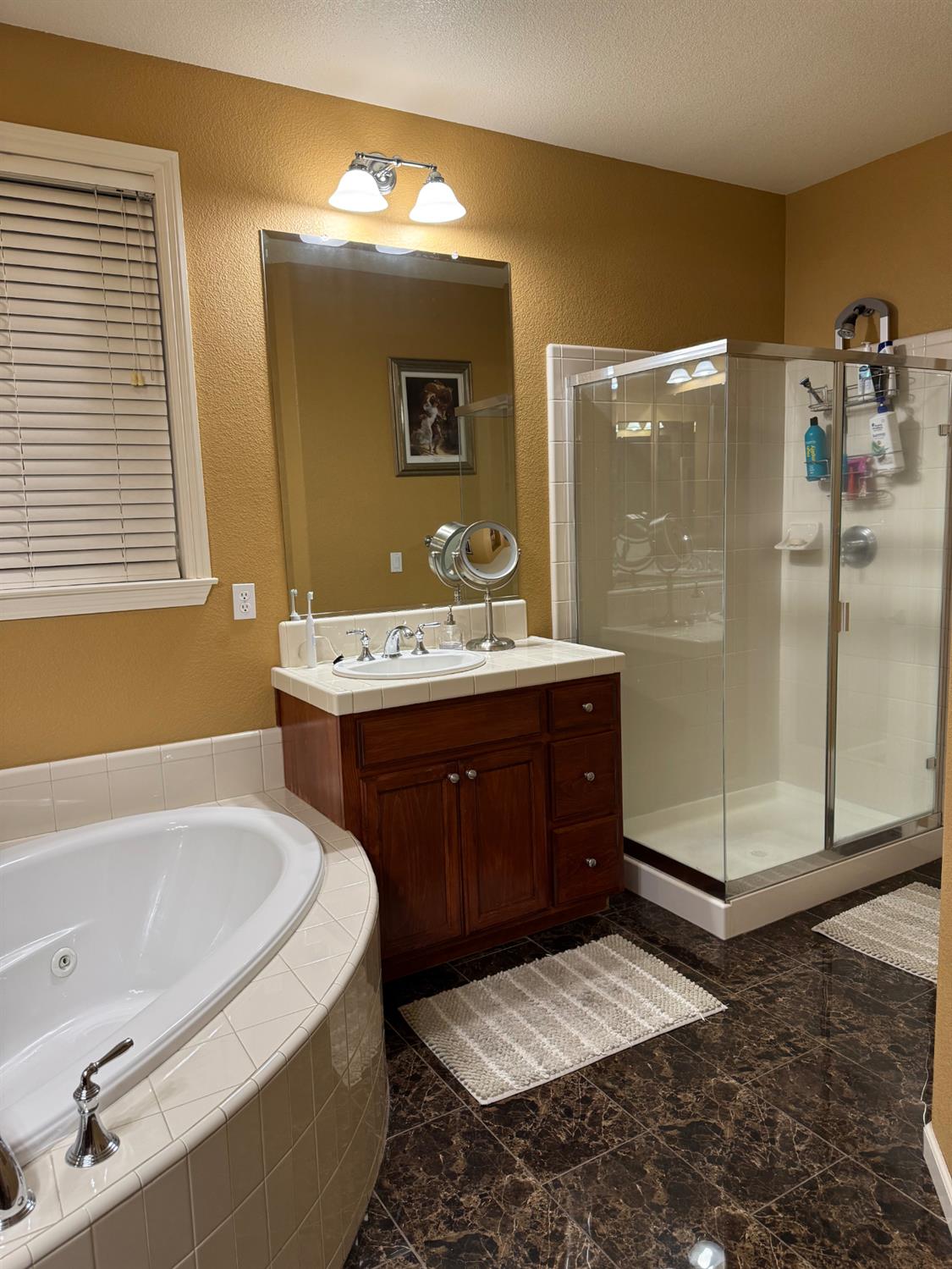 1058 Tidewater Point Lathrop, CA 95330 - Photo 42 of 45