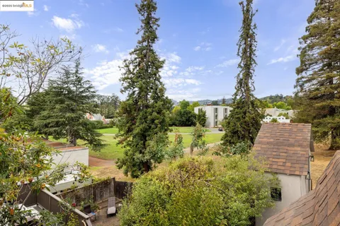 a view of a yard with plants and a building