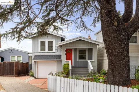 a view of a yard with plants and large trees