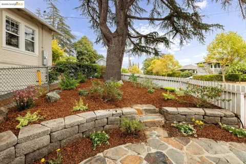 a view of a pathway with a tree