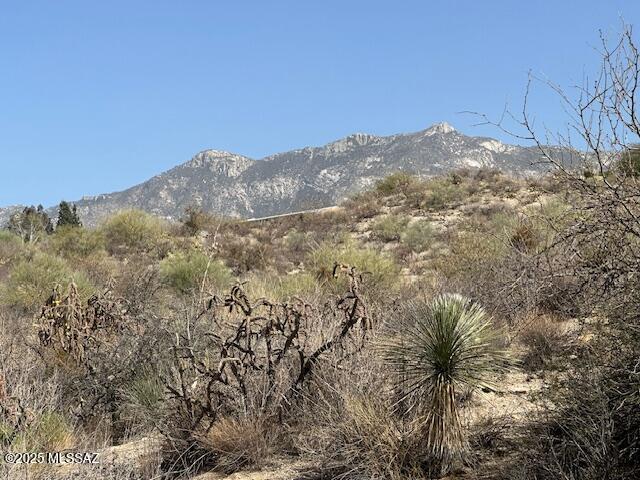14730 North High Rock Road Tucson, AZ 85739 - Photo 18 of 20 Gallery Image 18