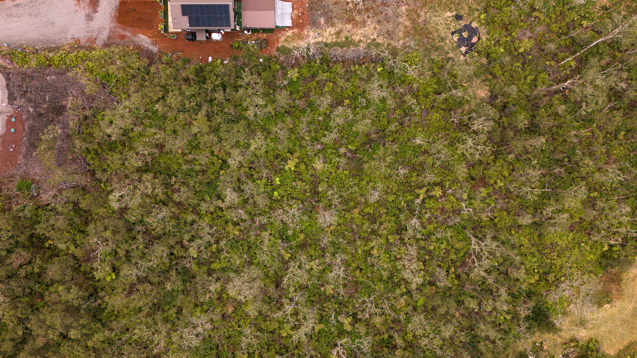 541 Alii KOA Street Volcano, HI 96785 - Photo 3 of 4 a view of a house with a yard