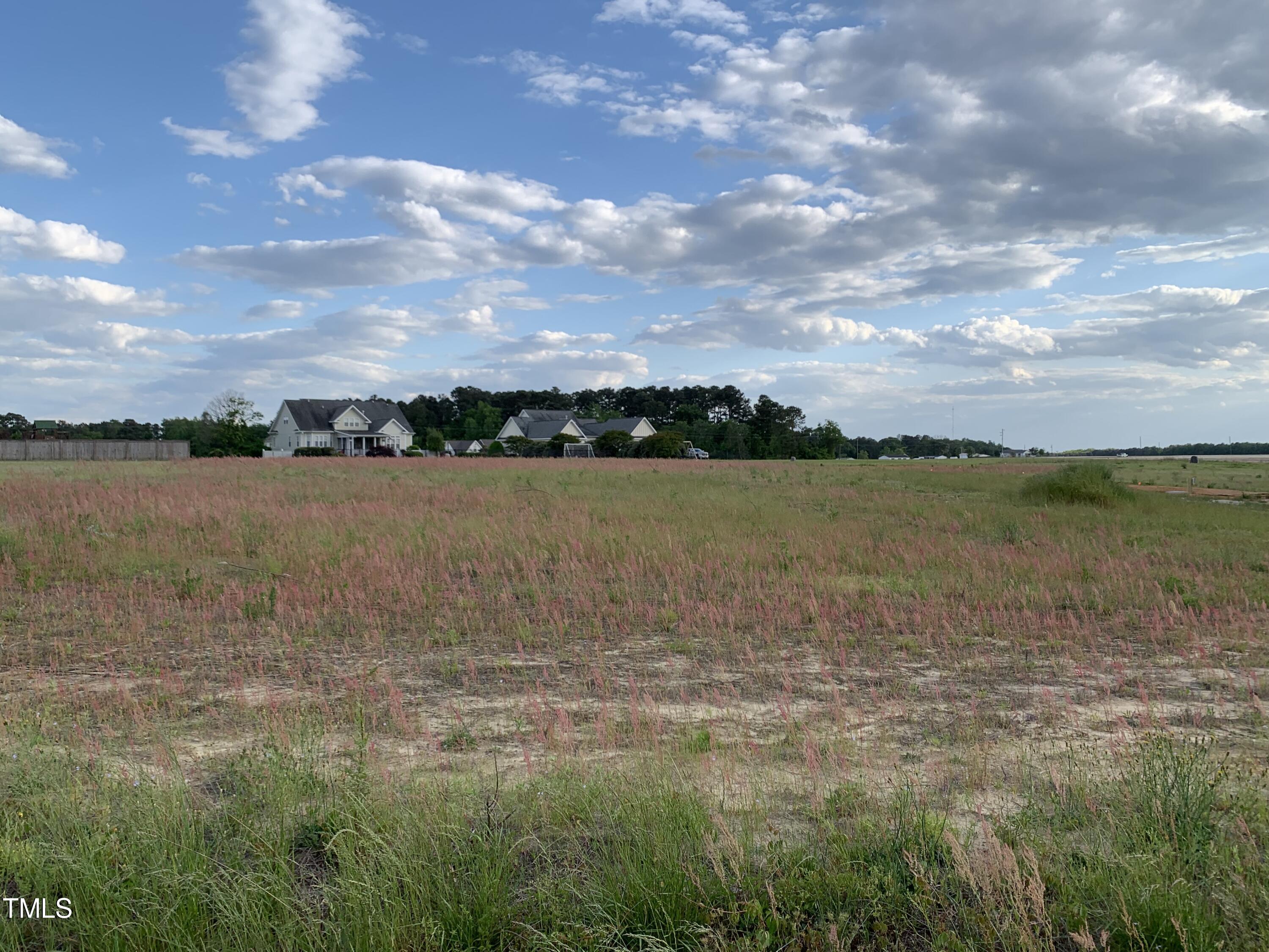 5281 Finch Road Bailey, NC 27880 - Photo 1 of 1 a view of lake