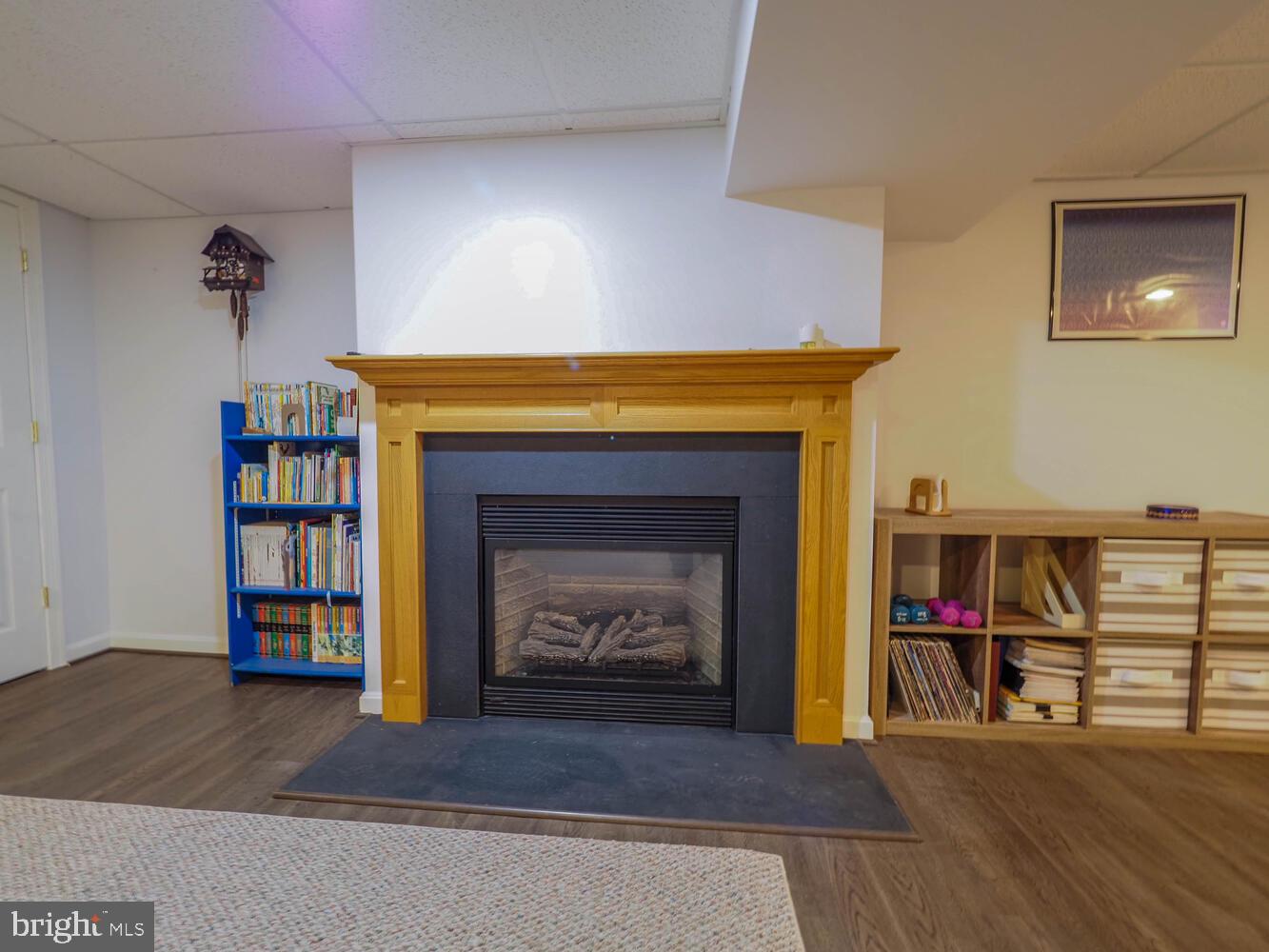 110 Rockrimmon Road Reisterstown, MD 21136 - Photo 21 of 68 Lower level fireplace