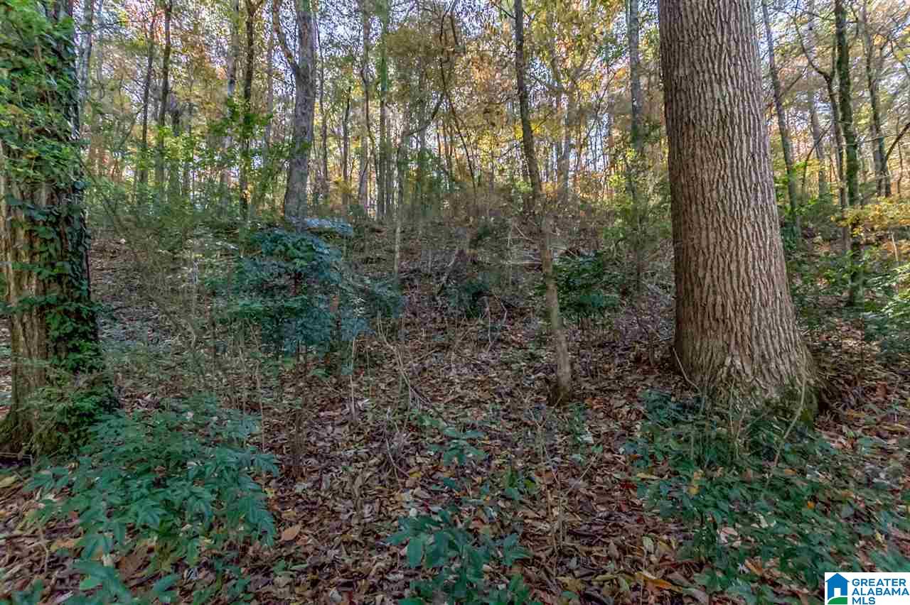 3385 Overbrook Road, Unit 109 Birmingham, AL 35213 - Photo 31 of 36