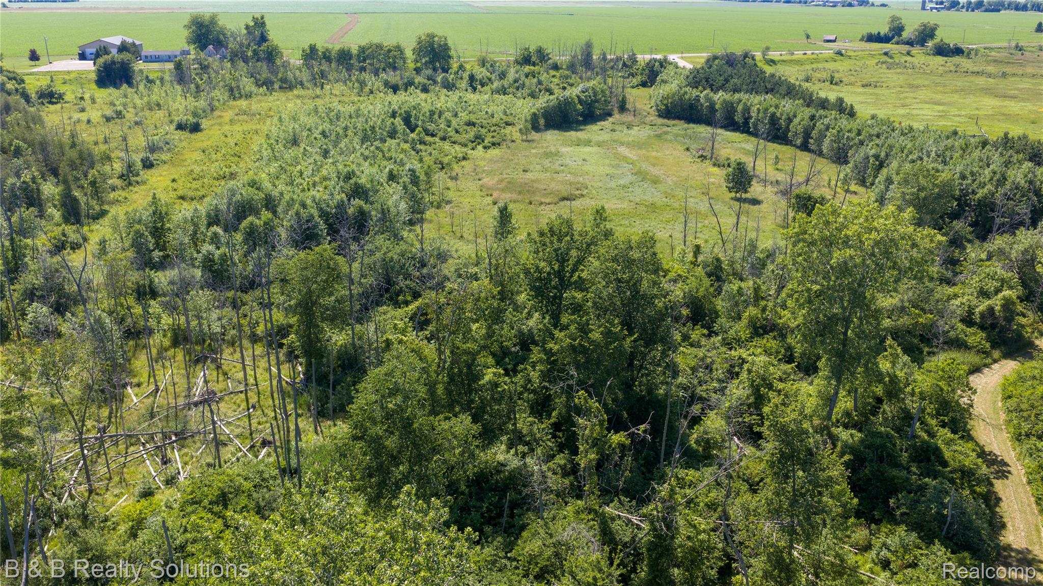 0 Elm Road Port Hope, MI 48468 - Photo 24 of 46 DJI_20260706164212_0477_D copy.jpg