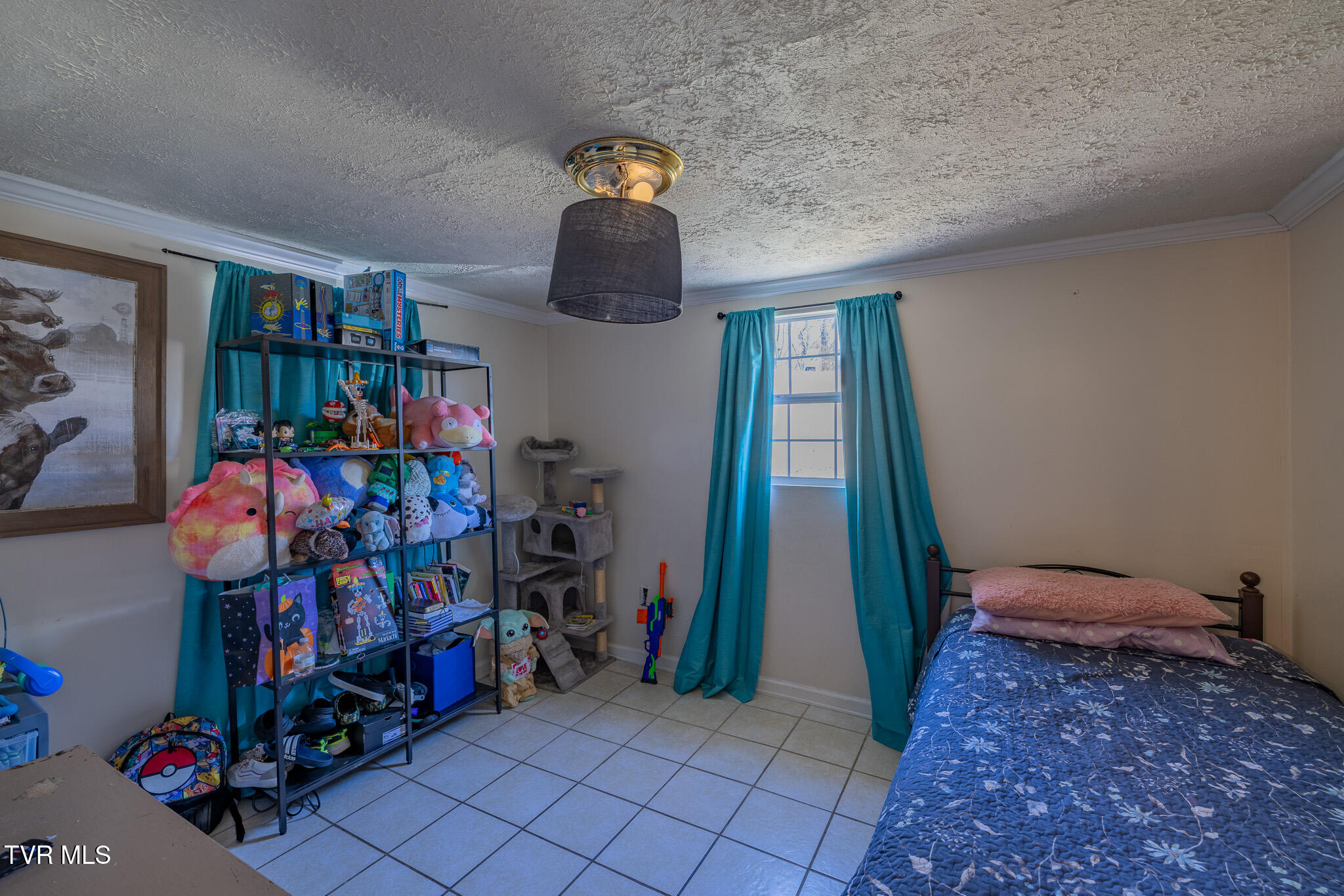 3216 Brownlow Road Kingsport, TN 37660 - Photo 8 of 28 1R9A3033-HDR