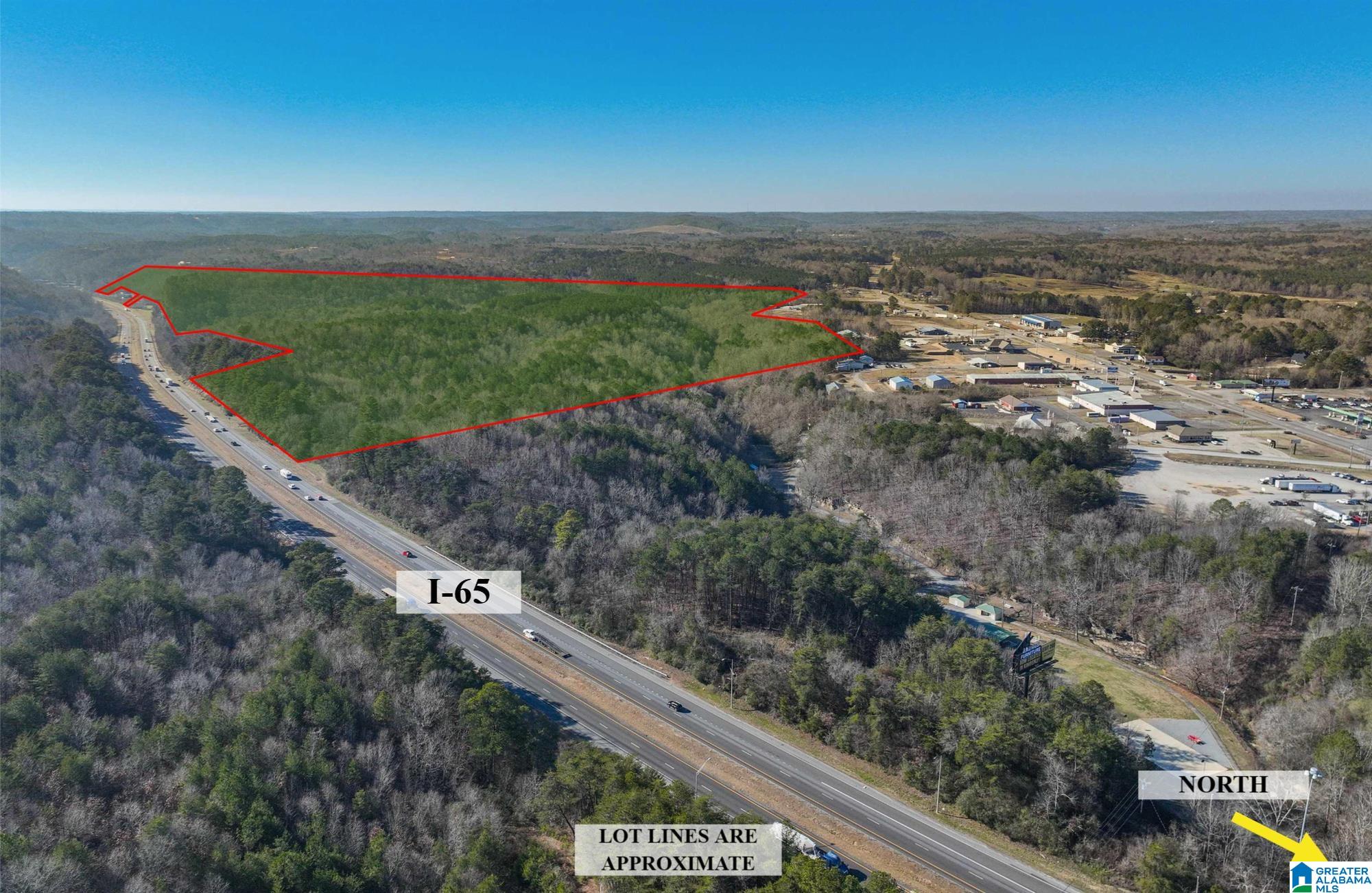 0 County Road Hanceville, AL 35077 - Photo 2 of 5