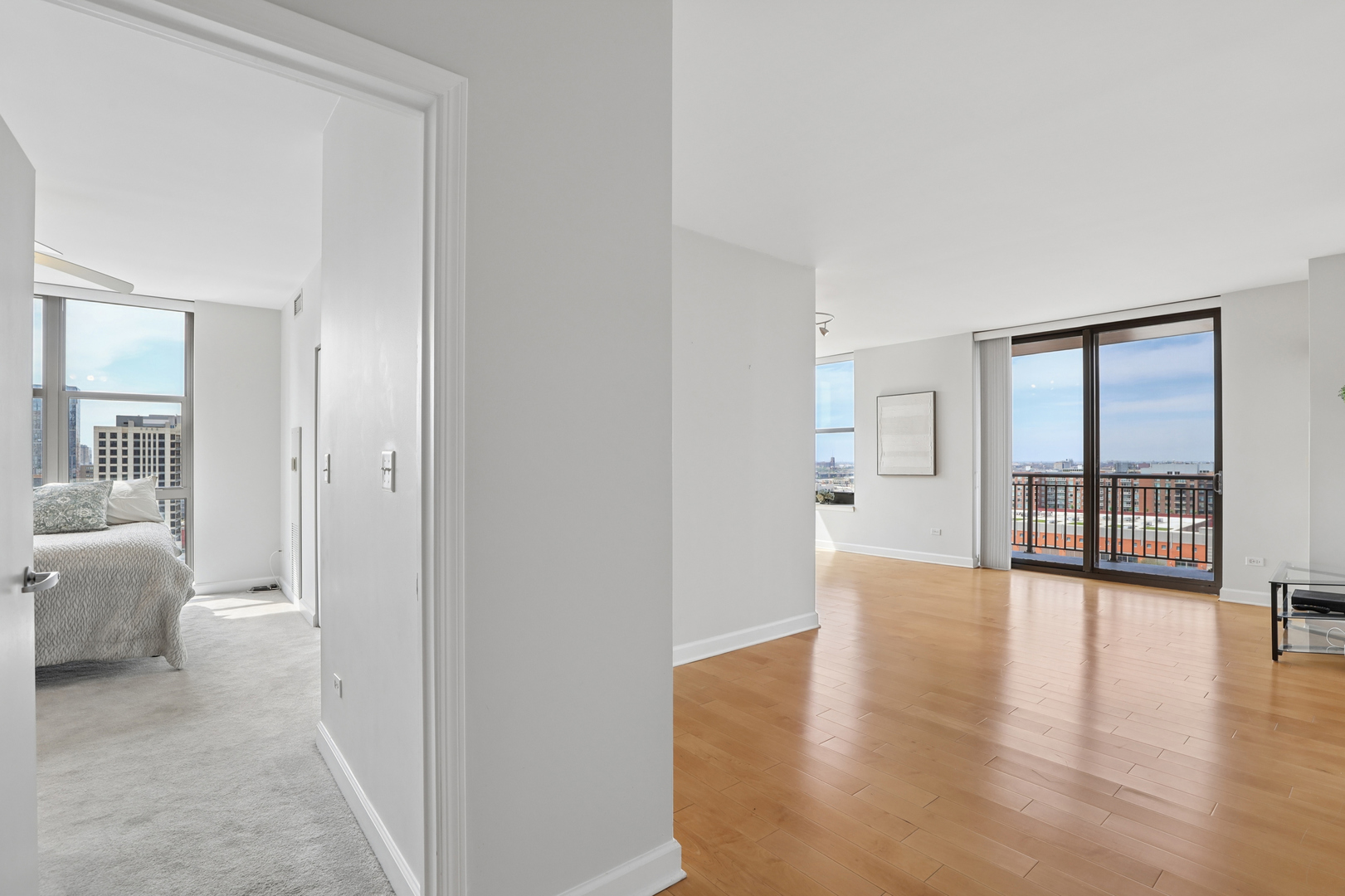 1101 South State Street, Unit 1607 Chicago, IL 60605 - Photo 5 of 28