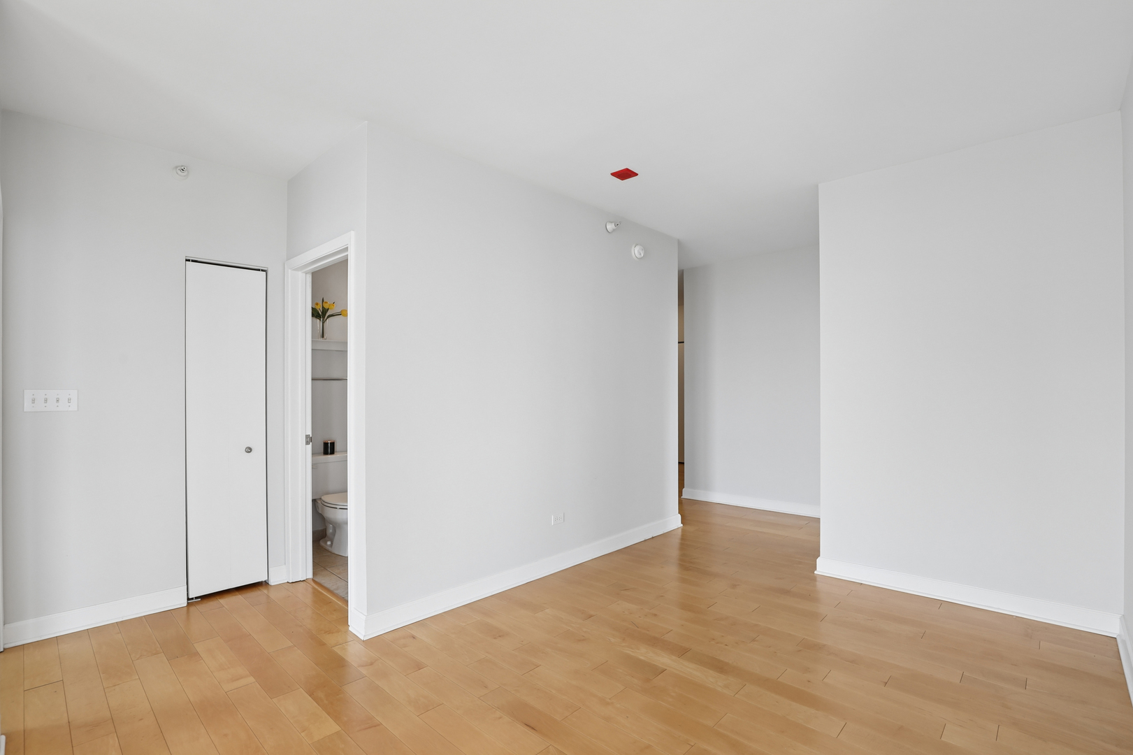 1101 South State Street, Unit 1607 Chicago, IL 60605 - Photo 10 of 28