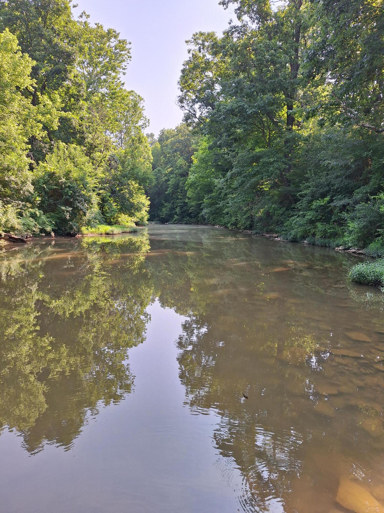 405 Robinson Road Cynthiana, KY 41031 - Photo 11 of 25 Gallery Image 11