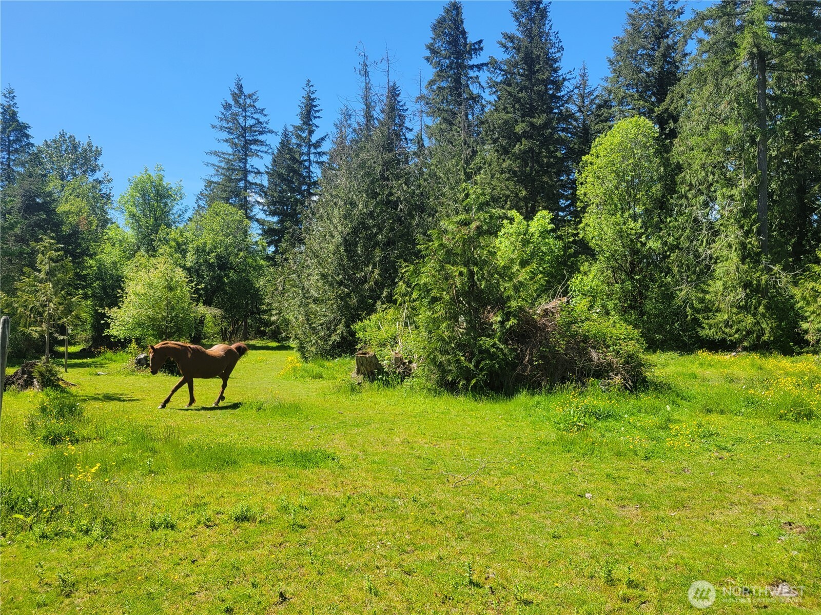 632 Meier Road Winlock, WA 98596 - Photo 10 of 27